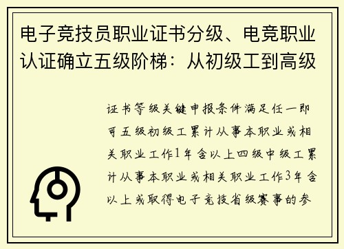 电子竞技员职业证书分级、电竞职业认证确立五级阶梯：从初级工到高级技师的成长路径